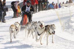 Lenk 2012 SM